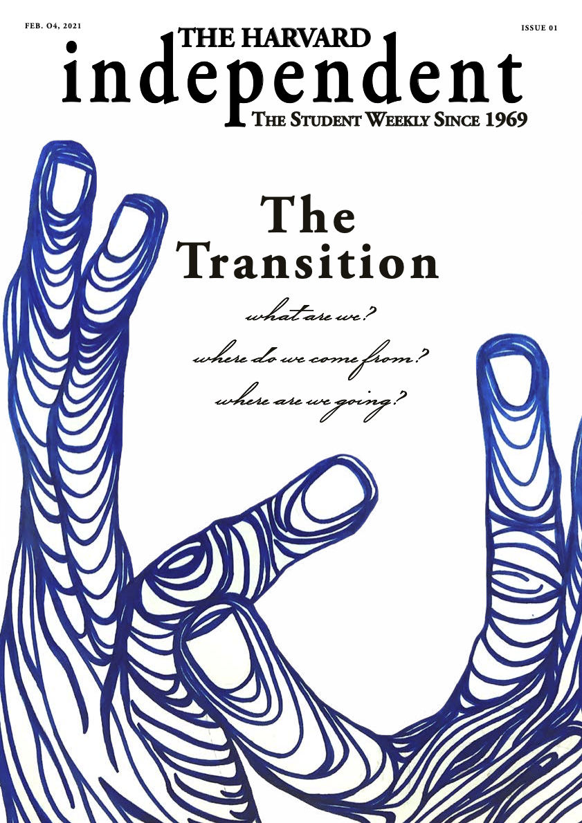 TheTransitionCover