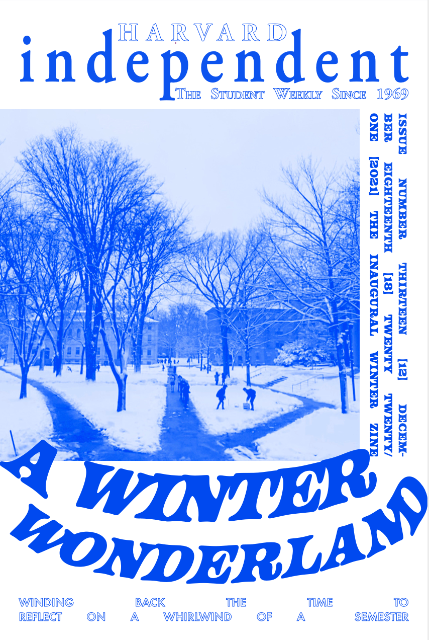 Cover for Issue 13: A Winter Wonderland