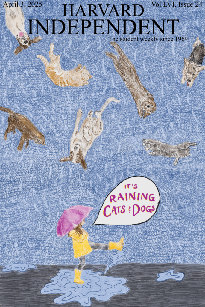 04.03.25: Raining Cats and Dogs | Harvard Independent