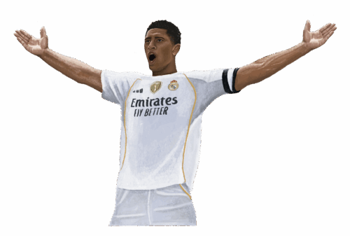 FIFA Graphic - Miranda