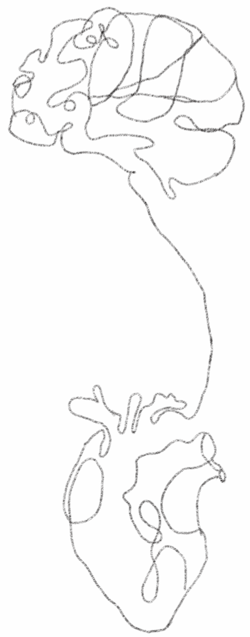 joye mental_health_org