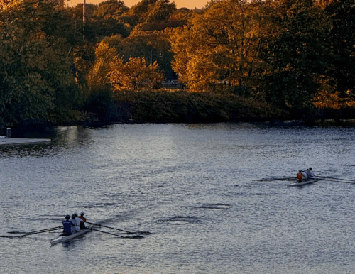 Giulia head of charles preview