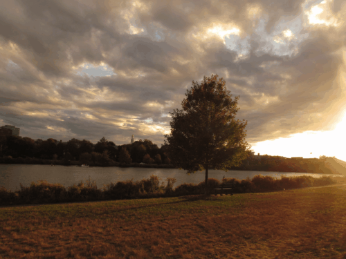 Osa arts down by the rive