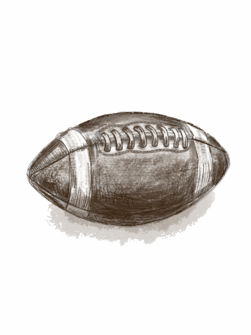 Fantasy Football_Annelise