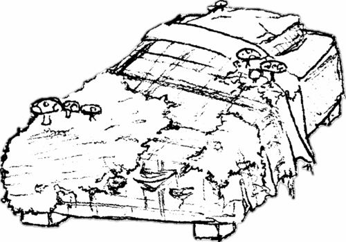 IMG_9688 - Caleb Boyce