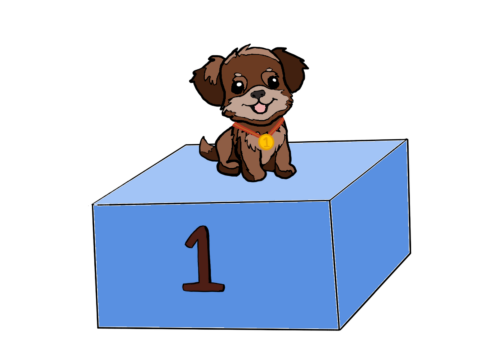 Sophia Rascoff underdog