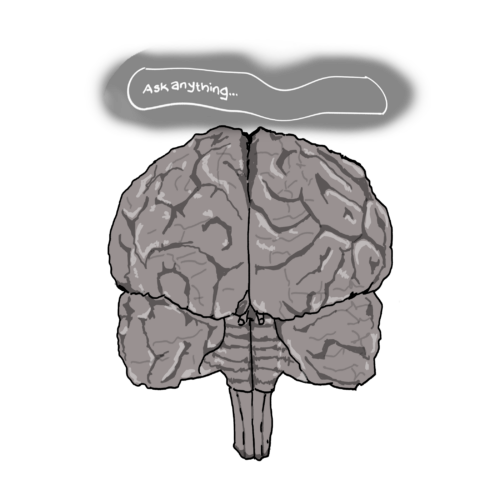 Sage_neuroprof