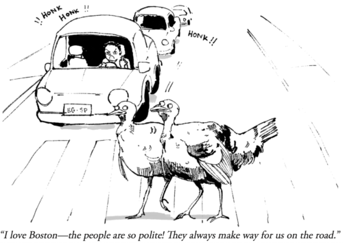 City Turkeys