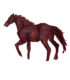 Horse Color