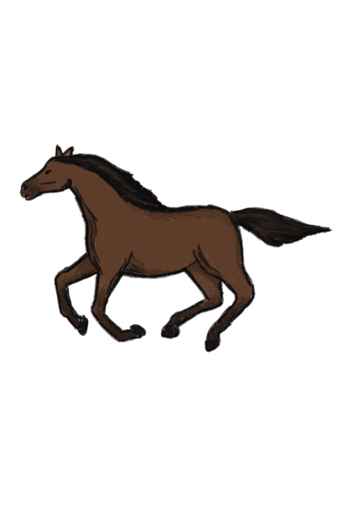 Neshama - Kentucky Derby