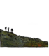 FOPcolor
