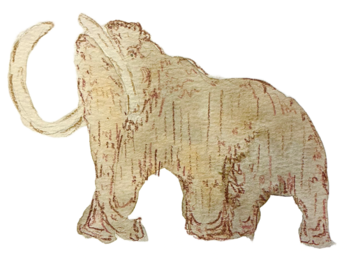 Dodos and Mammoths