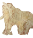 Dodos and Mammoths