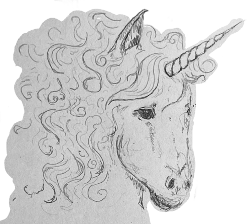 Local Unicorns Encourage Dropping Out of School