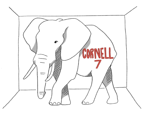 cameron_cornell7