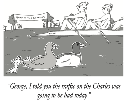 Getting Your Ducks In a Row
