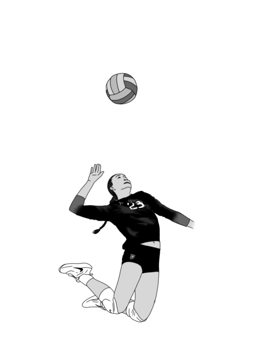 volleyballemmacrago